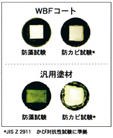 防藻・防カビ性 比較図